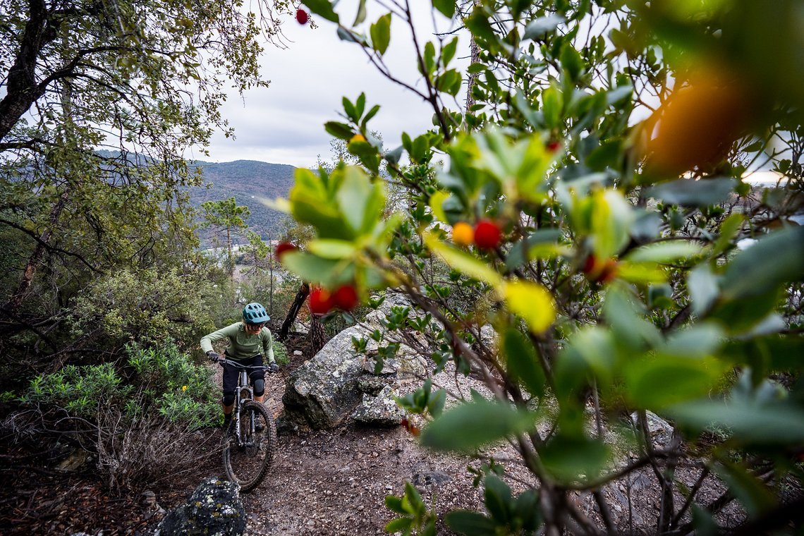 E-MTB-Fahrtechnik-Regel Nr. 1: Blickführung immer auf den Trail richten ...