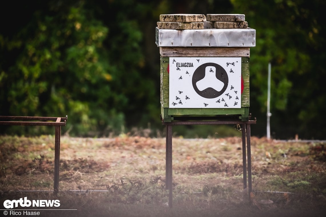 Bei den Bienen heißt es in bairischem Dialekt: „Fliag zua!“ – bei Menschen auf Fahrrädern „Fa zua!“