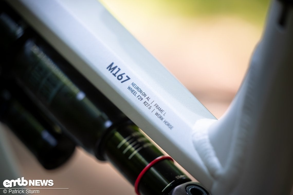 Der Rahmen ist baugleich mit dem seines etwas spießigeren Bruders …