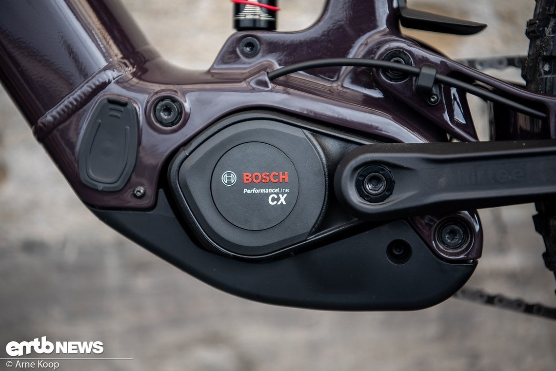 Der Bosch CX-Motor liefert bis zu 100 Nm Drehmoment und wird von einem 600 Wh-Akku mit Energie versorgt.