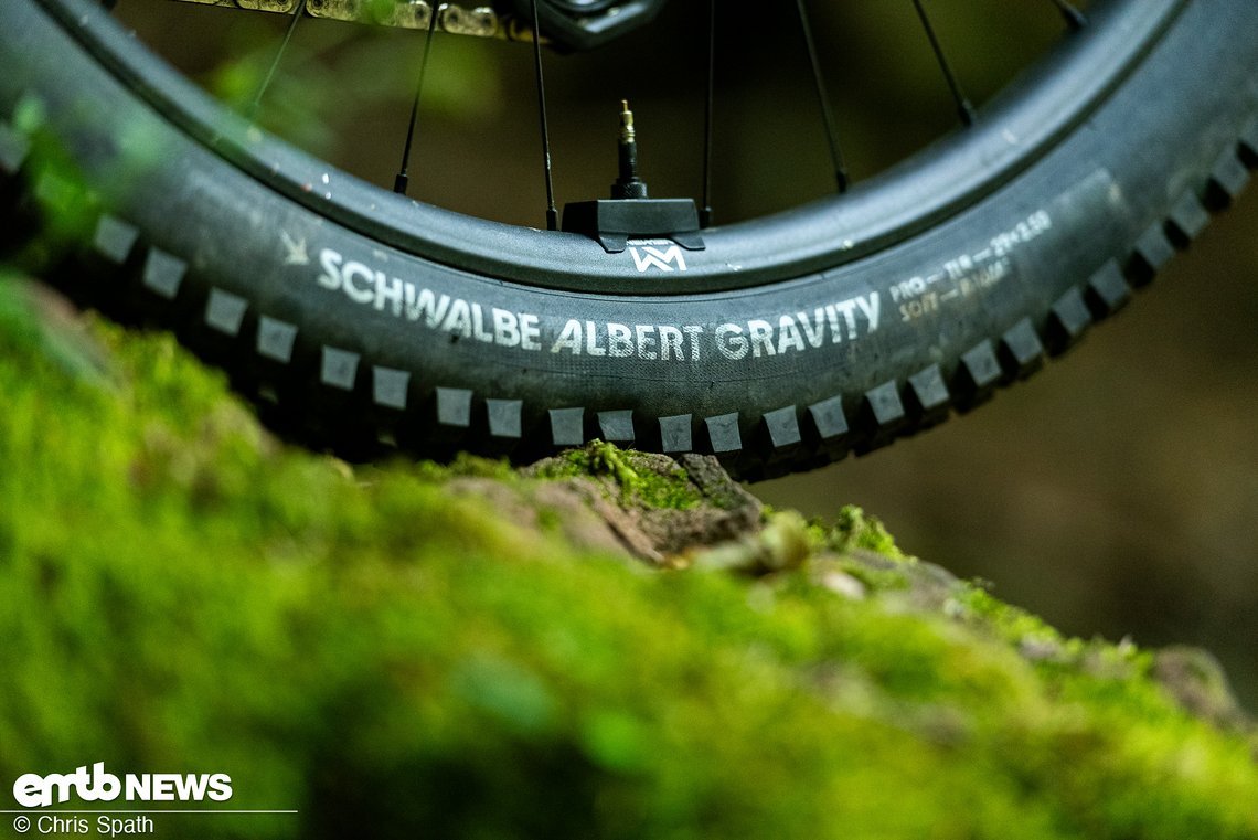 Schwalbe Albert Reifen stellen den Bodenkontakt her – vorne Trail/Ultra Soft, hinten Gravity/Soft.