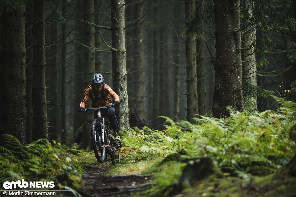 Beeindruckt hat vor allem das gut abgestimmte Fahrwerk, das einen sehr guten Kompromiss aus Kontrolle und geringer Ermüdung bereitstellt.