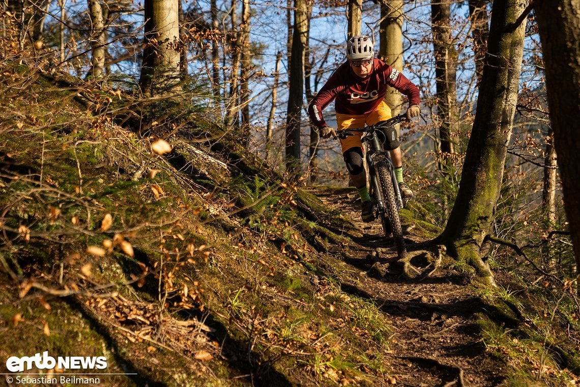 Schnelle Trails mit leichten Wurzeln, dafür ist ein E-Trailbike wie das Neuron:ON geschaffen.