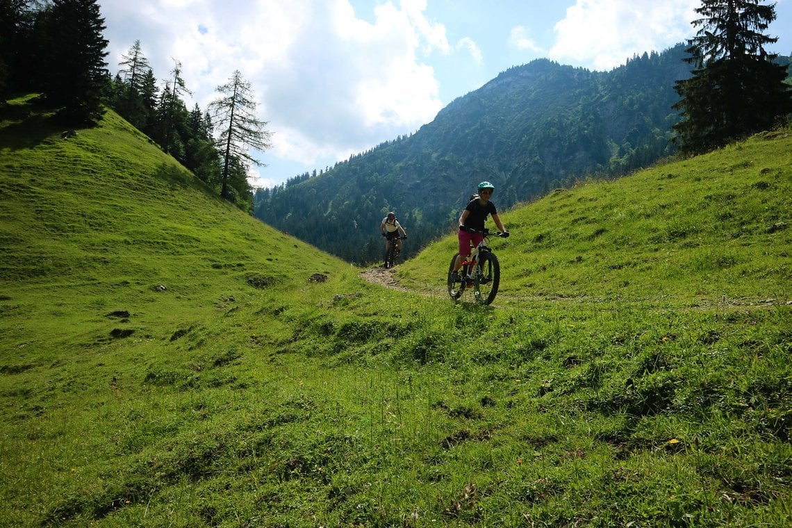 Flowig über die Almen der Stauchdacher Alm unterm Hochgern