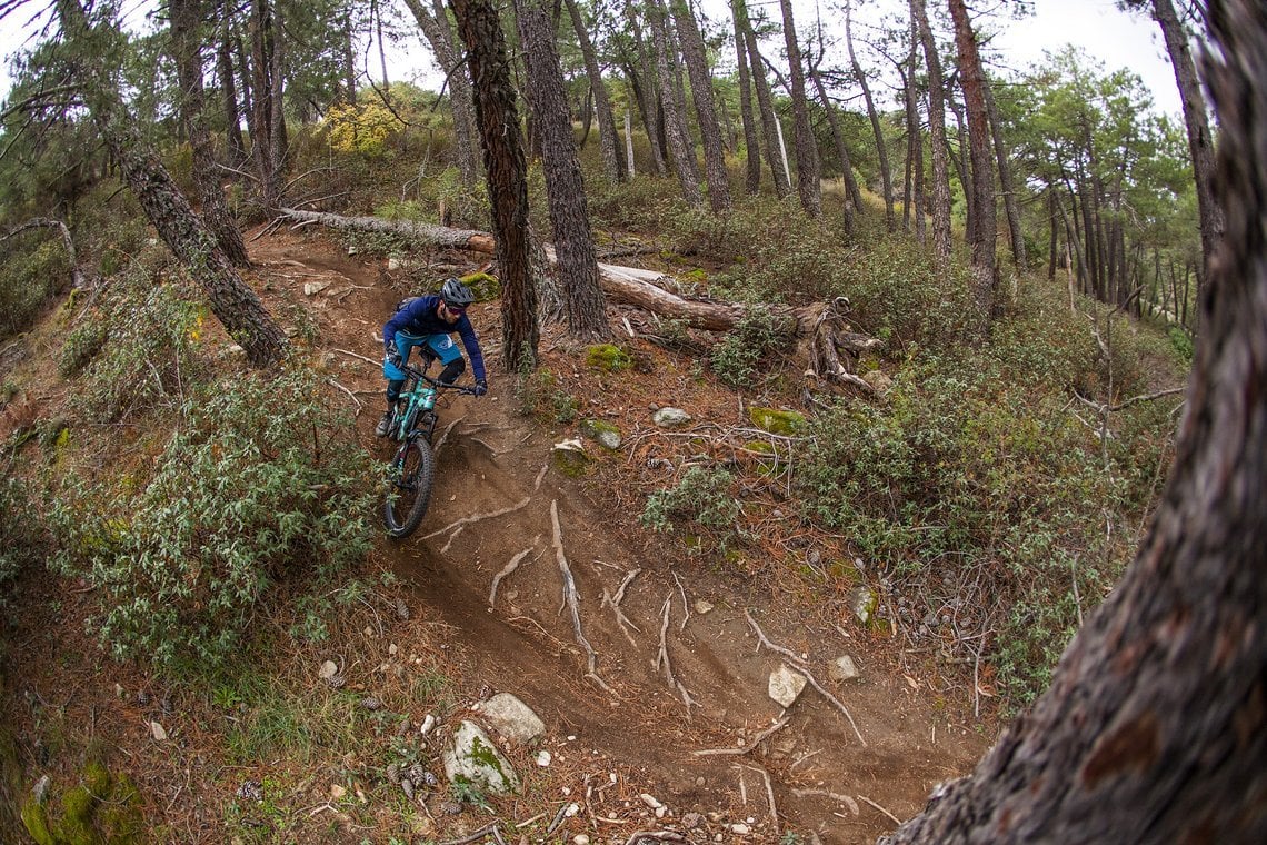 Sanft dahinrollende Trails wie dieser sind das präferierte Einsatzgebiet des Kona Remote 160