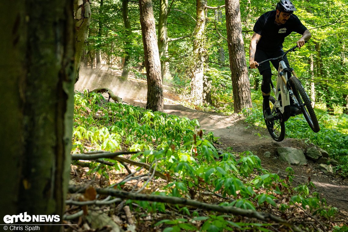 Von Tech-Trails über Bikeparks – das Decoy hat viel Freude bereitet – zum tiefen Tretlager passen noch kürzere Kurbeln ideal, sonst kann das Bike einem wie ein Pflug vorkommen. Mit dieser Tuningmaßnahme liegt das Bike aber wie ein Brett.