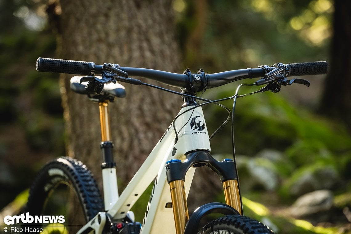 Pivot verbaut Hauseigene Komponenten nur am Cockpit