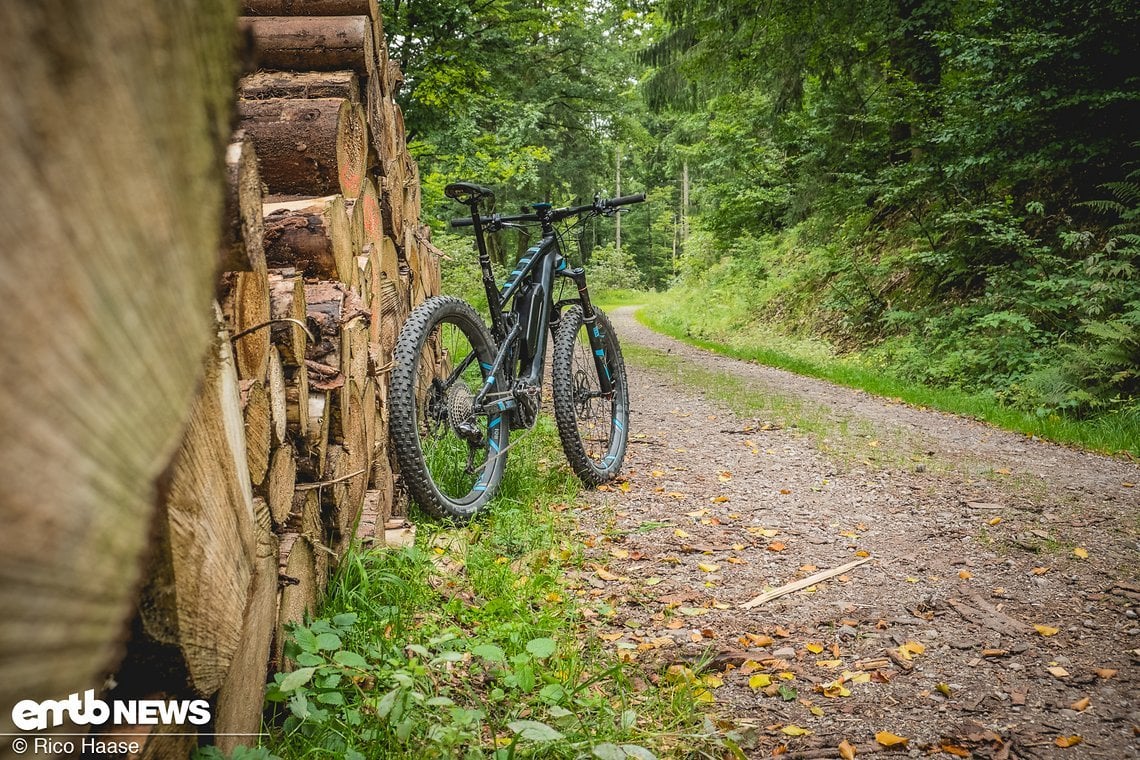 Die ersten Kilometer folgen dem Steinhorst-Weg