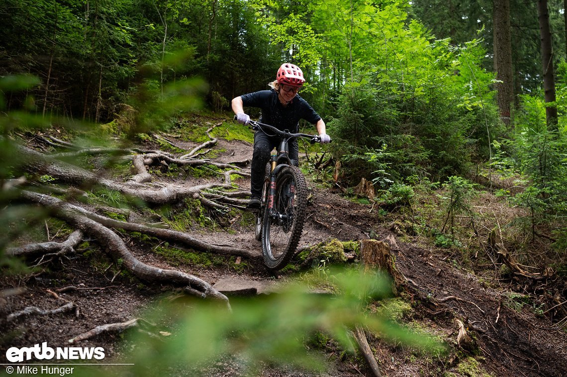Die Trails am Rabenberg bieten von Wurzeln bis ...