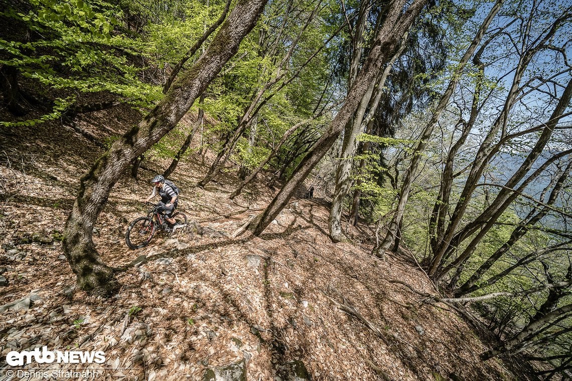 Durch tiefes Laub schraubt sich die Truppe zum Mendel-Pass hinauf