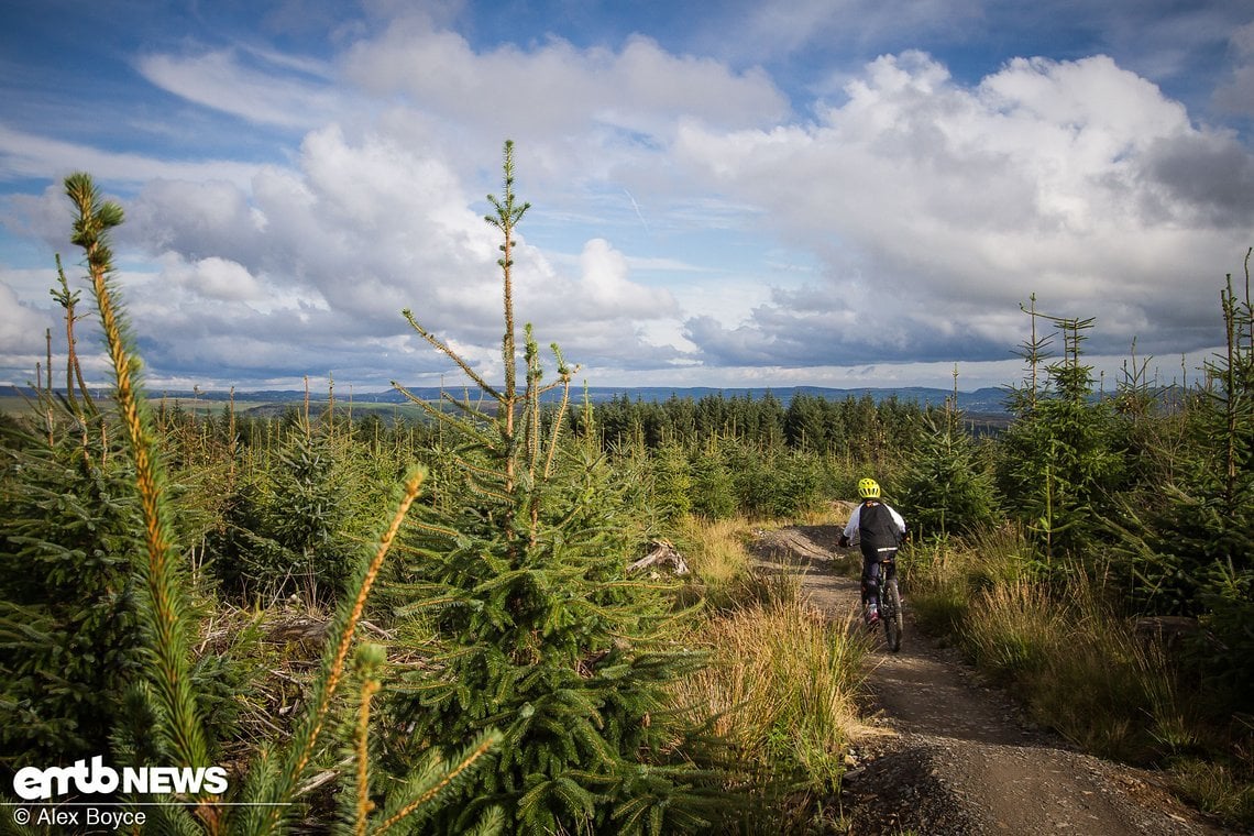 Runter gehts auf dem blauen Trail "Terry's Belly"