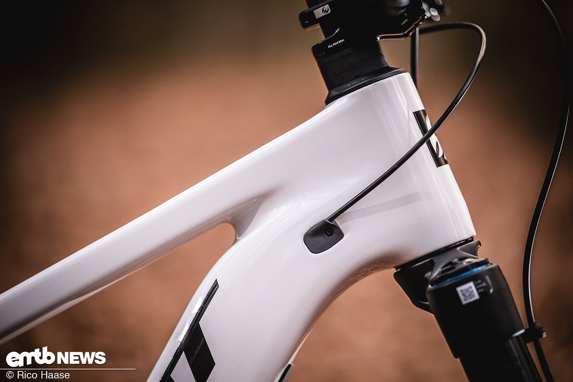 Pivot Shuttle LT mit Bosch CX-R DSC 2955