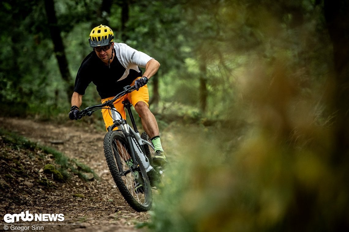 Auf klassischen, trockenen Waldwegen bieten die Schwalbe Smart Sam-Reifen ausreichend Grip.