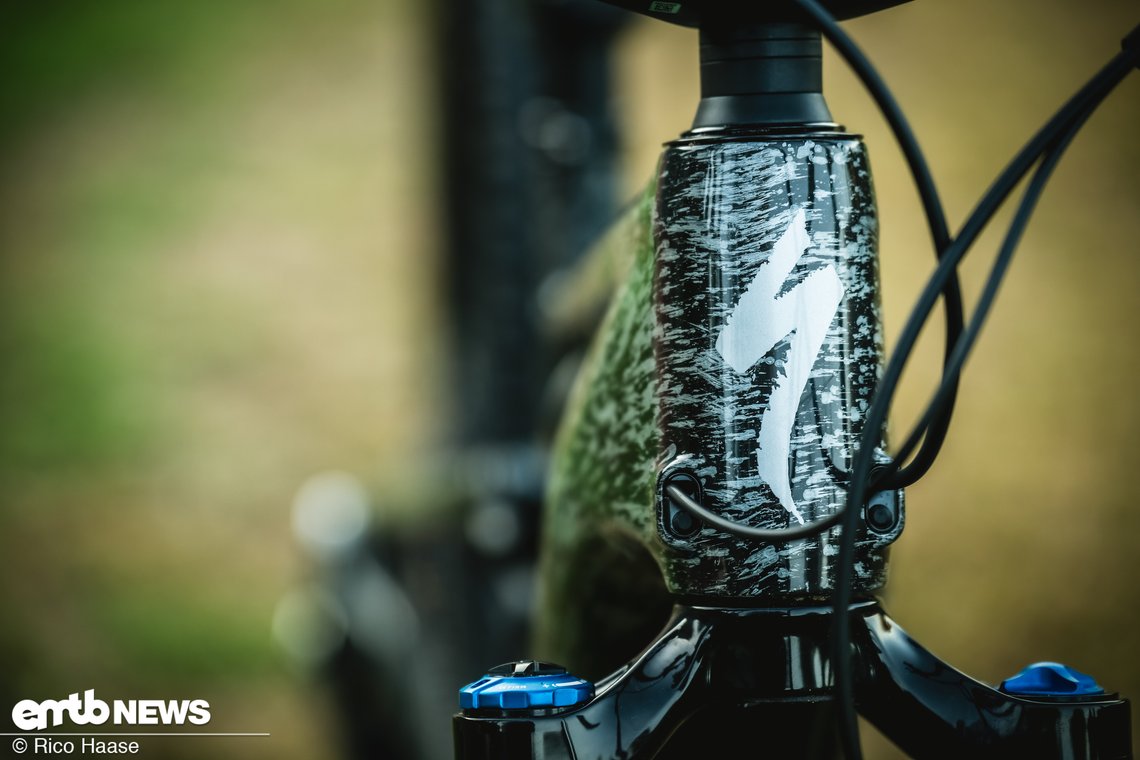 Die Lackierung ist, ich sag es mal ganz salopp, recht „special“.