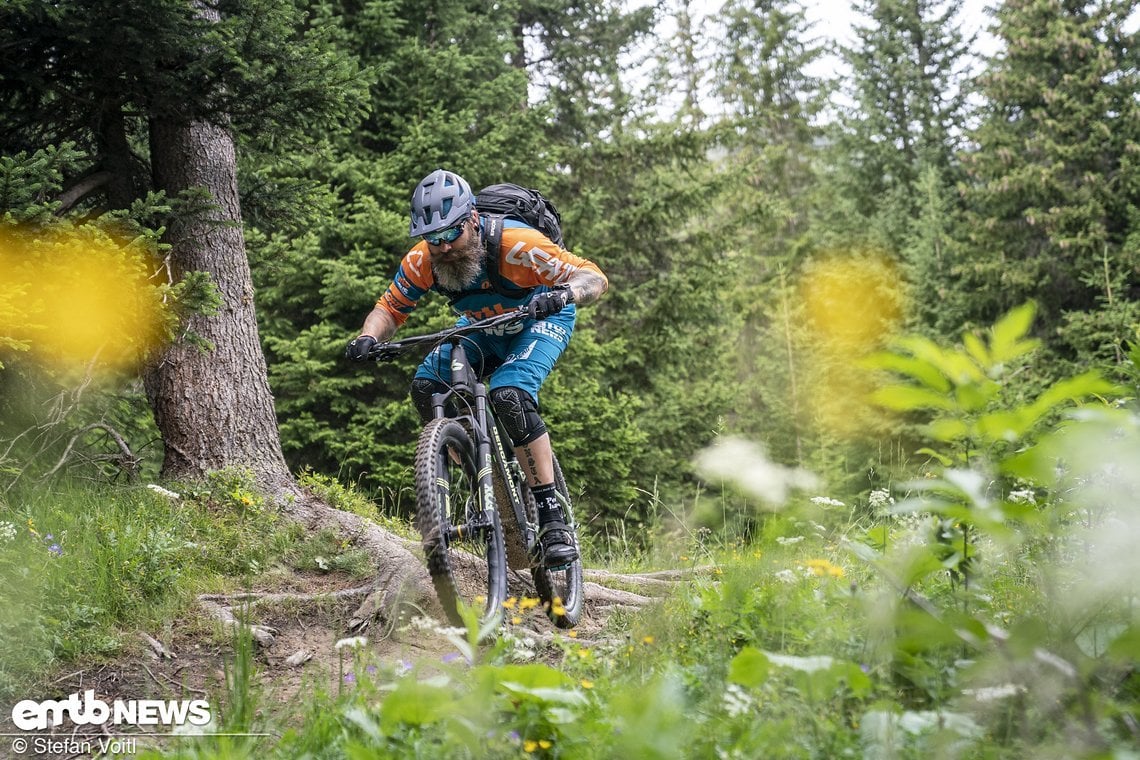 Auf dem Trail konnten wir auf Anhieb flüssig über Wurzelteppiche ...