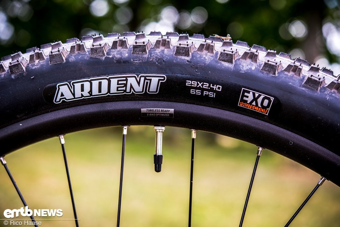 Mit dem Maxxis Ardent wird das Giant E-Hardtail mit einem kurzstolligen Allround-Reifen für leichtes Gelände und Straße ausgeliefert.