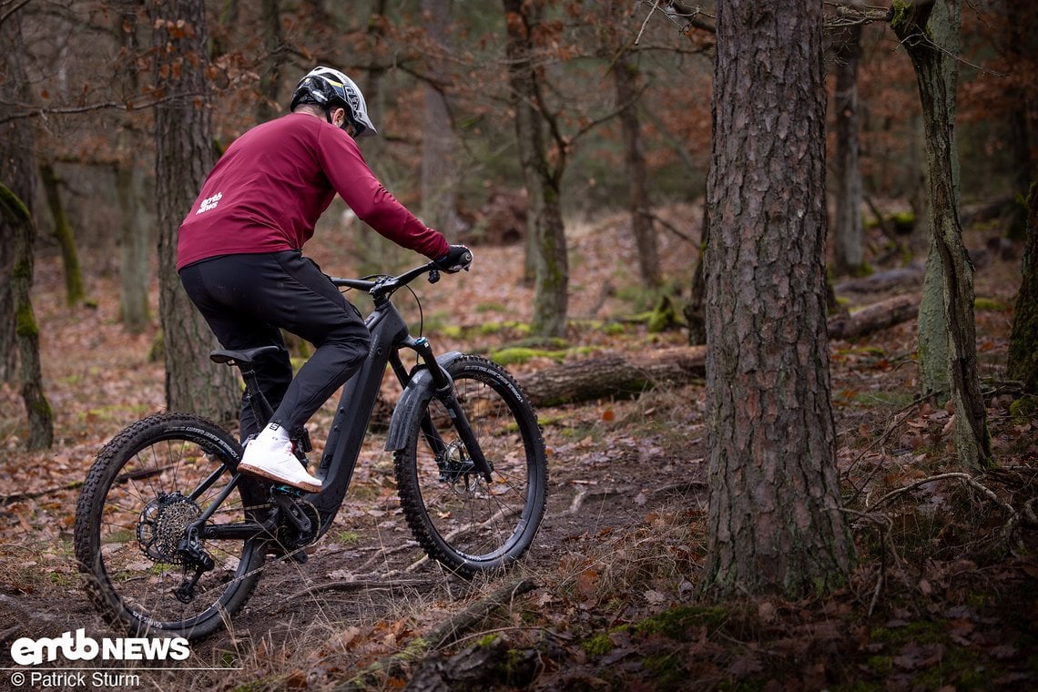Im Uphill hilft der bärenstarke CX-Motor von Bosch.