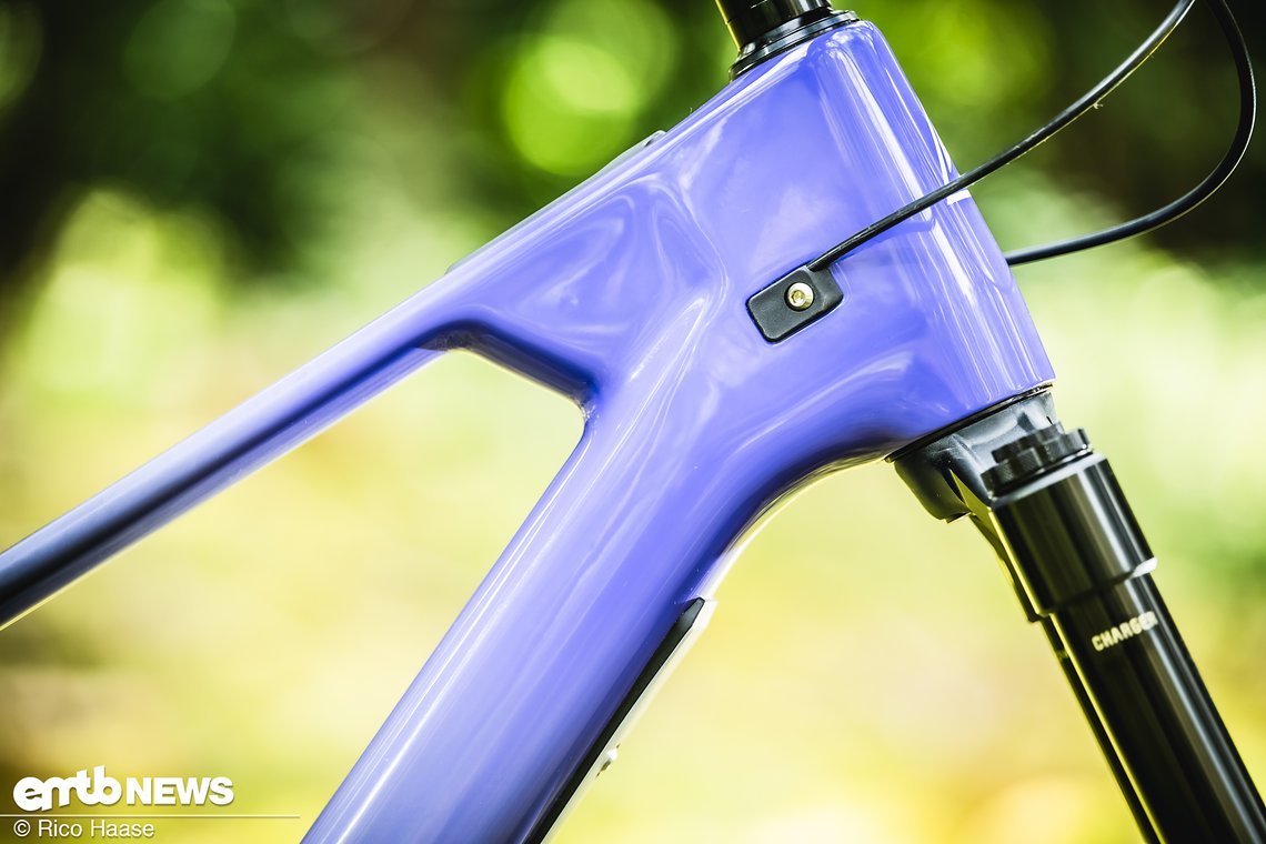 Forbidden Druid LitE Test DSC 6672