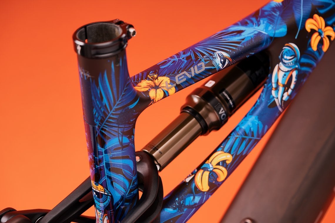 Specialized Levo X Troy Lee Designs LTD