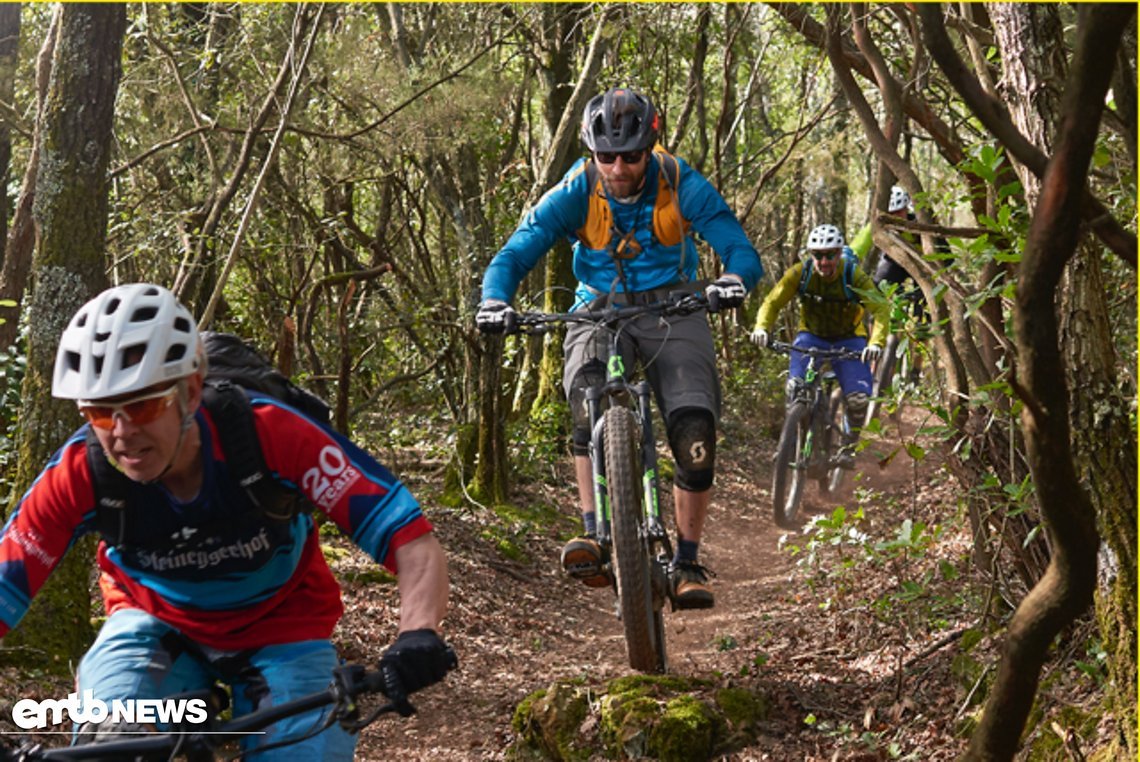 Mario with some of his riders on a tour in the woods of Massa Marittima