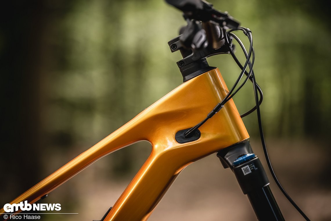 Canyon Spectral:ONfly 2025 Neuheit und Test