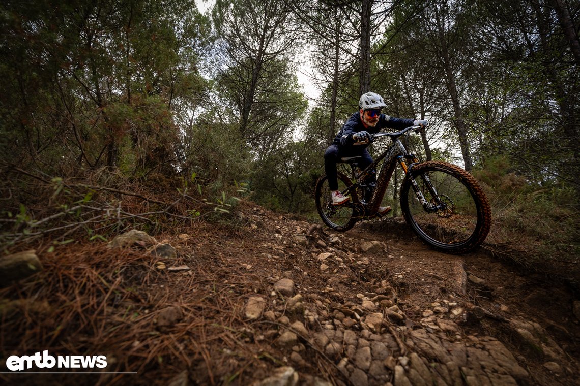 Das Levo R kann als Trailbike vollends punkten und stellt für mich sogar das bessere Levo dar!