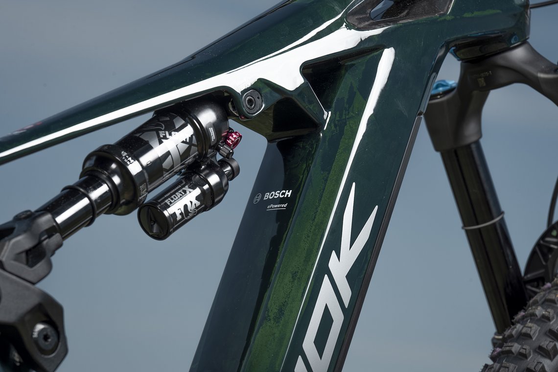 Über einen Flipchip am vorderen Dämpferauge, lässt sich die Geometrie des Bikes anpassen