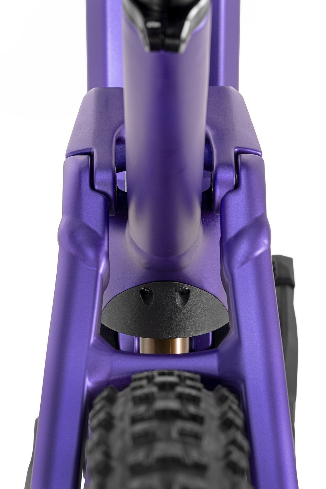 01KDMH6EDQVEGQZ9JBGZVB5HZ8  DSC5390