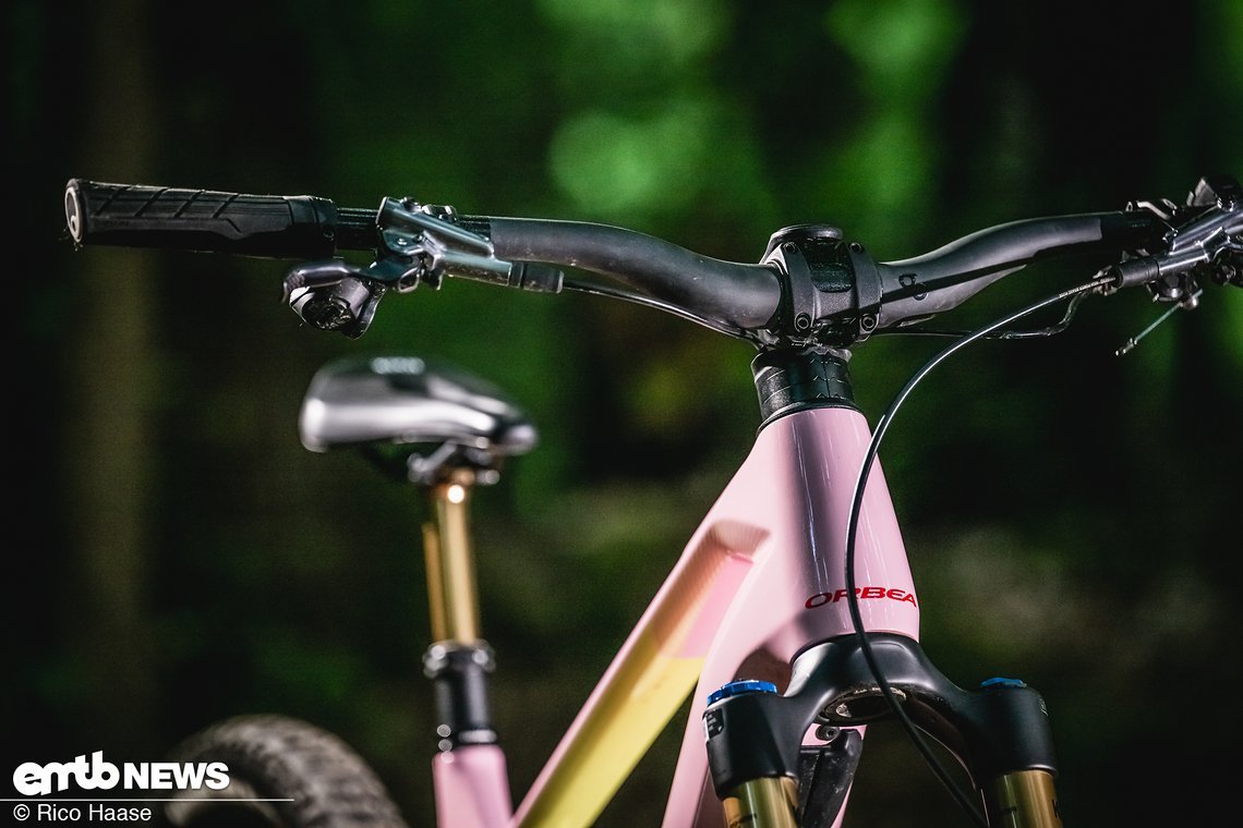 Orbea Wild Fast Forward Team 2025 Bikecheck DSC 2913