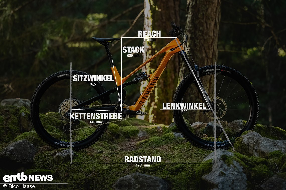Canyon Spectral:ONfly Geometrieangaben Rahmengröße M