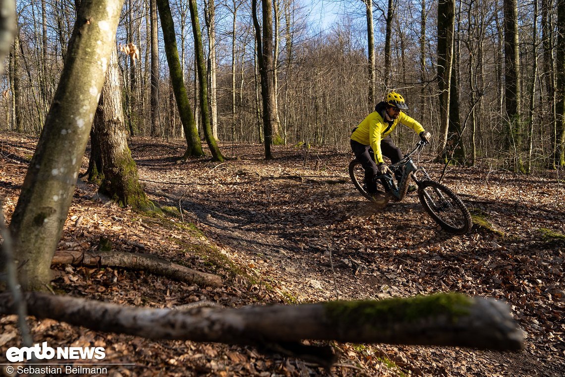 Schnelle, einfache Trails laden dazu ein, in weiten Bögen durchfahren zu werden.