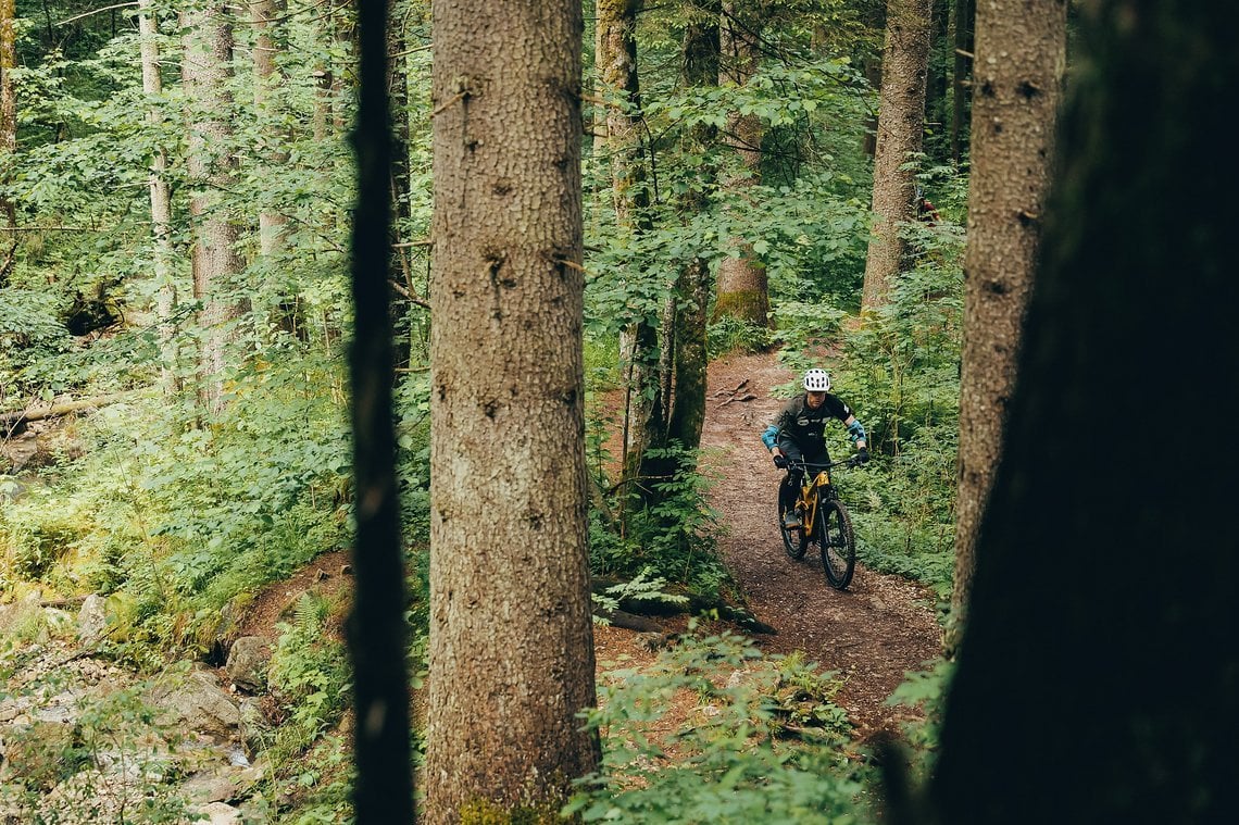 Bikepark Oberammergau: ein wildromantischer bayrischer Wald und viele glitschige Wurzeln.