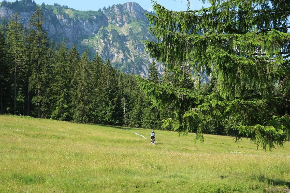 Über Stege durch das Hochmoor bei der Vorderalm, im Hintergrund Ausläufer des Hochgern