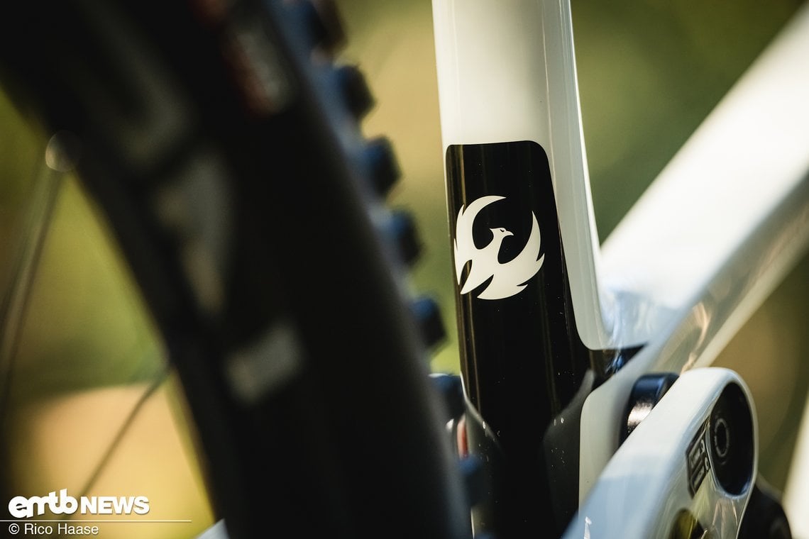 Pivot Shuttle SL VT Light-Support-E-MTB 2025DSC 6934