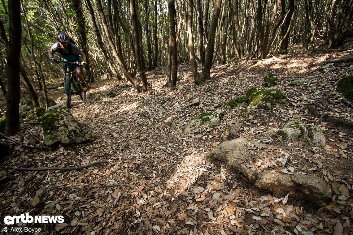 Approach is everything, start quite far back down the trail, your momentum that you have will help carry the bike over the small step-up.