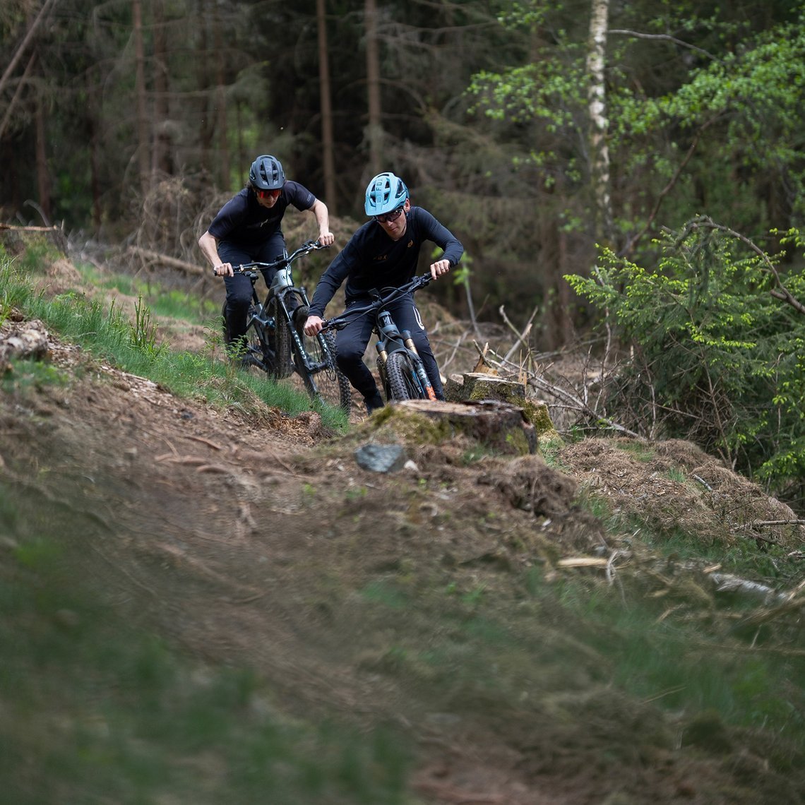 Beim Uphill Flash geht es zunächst durch die Botanik, sowohl bergauf …