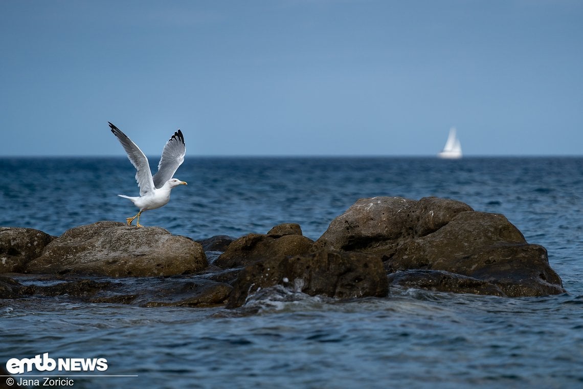 Fazit zu den Trails zwischen Marina di Campo und Lacona