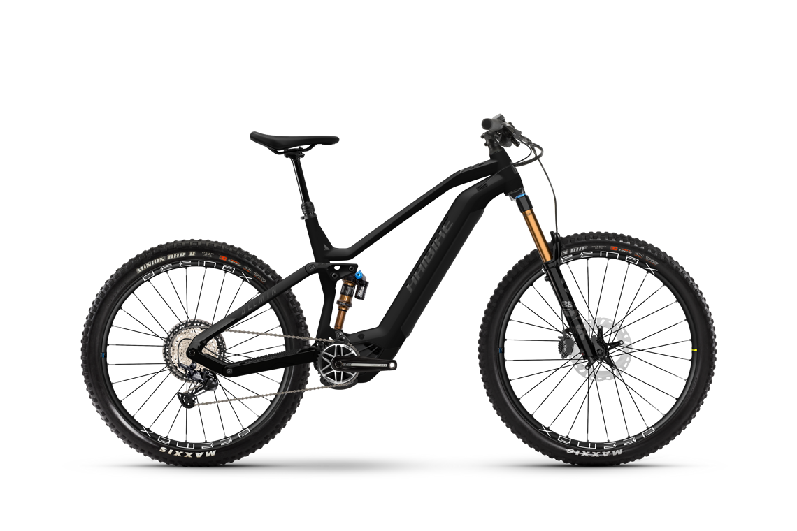 Haibike ALLMTN 10