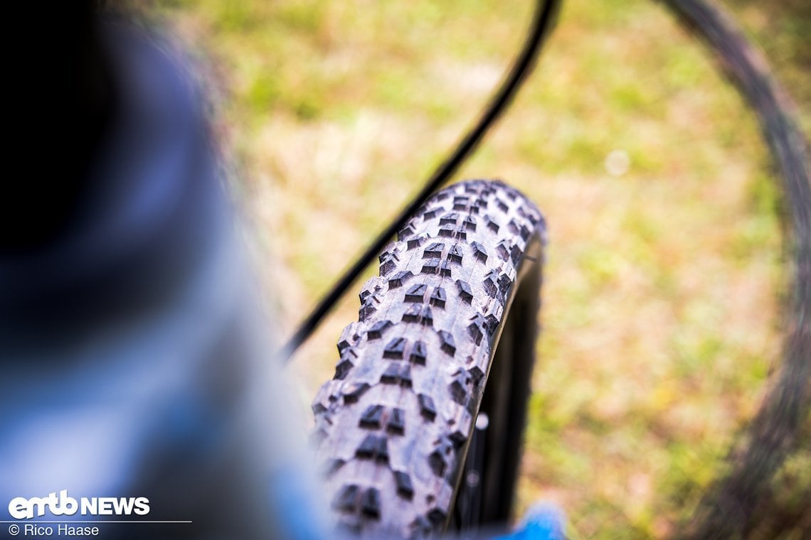 Der engmaschige Mittelsteg auf dem Maxxis-Reifen bietet einen komfortablen Lauf auf hartem Untergrund.