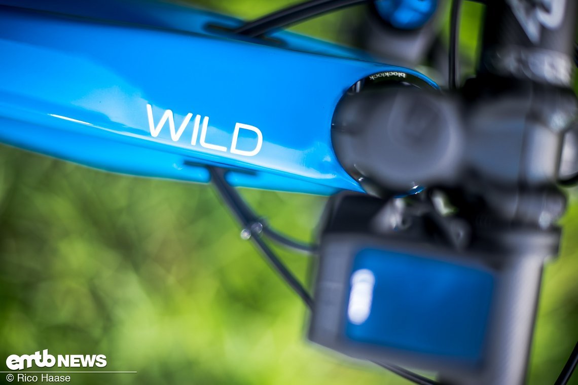 Orbea Wild FS im Test DSC 0140