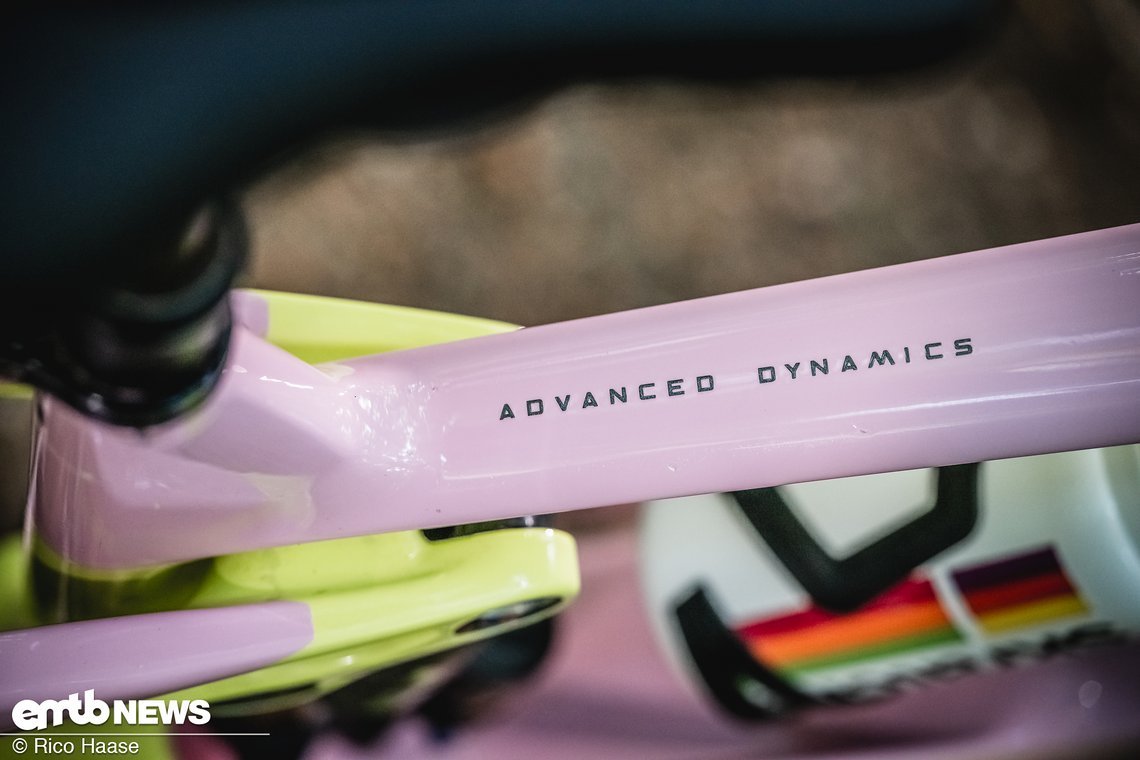 Orbea Wild Fast Forward Team 2025 Bikecheck DSC 2941