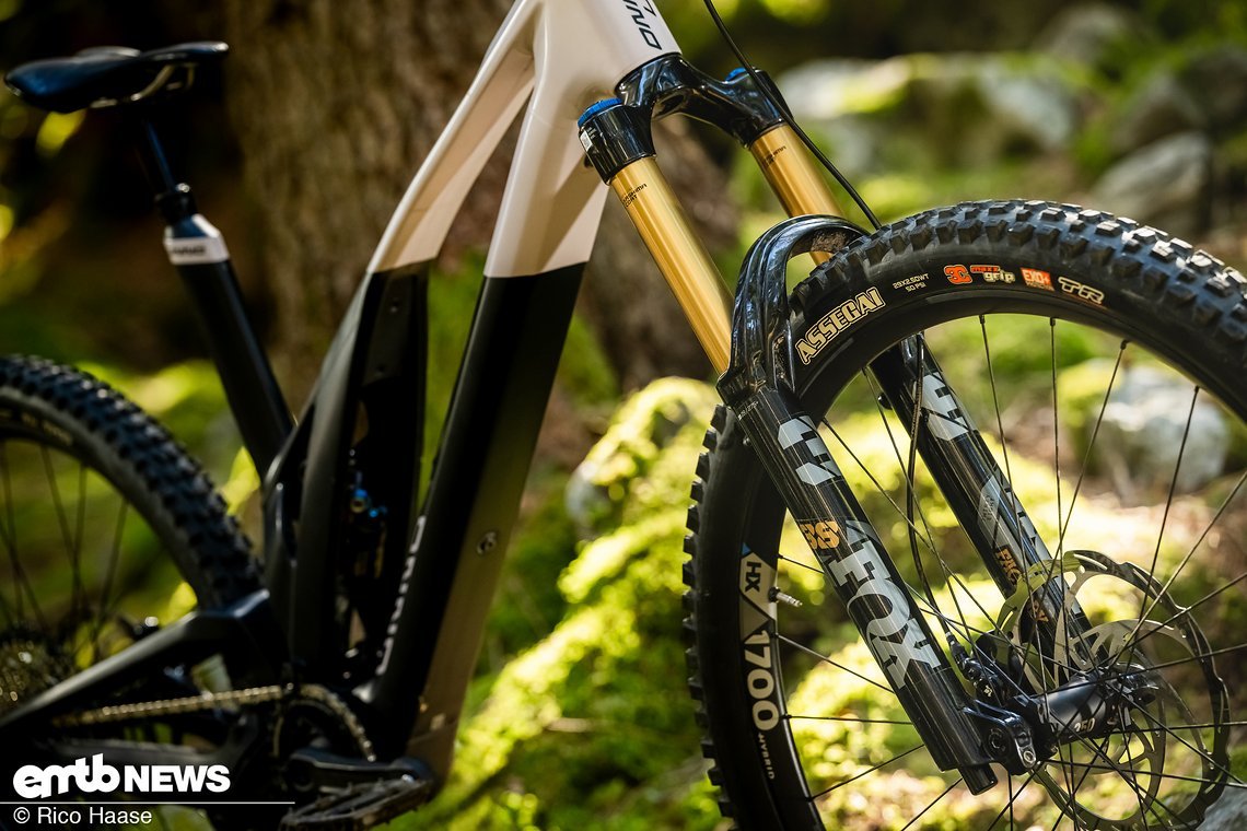 Versteckt hinter der Verstrebung steckt ein Fox Float X2 Factory, der durch eine Fox 38 Grip 2 ergänzt wird