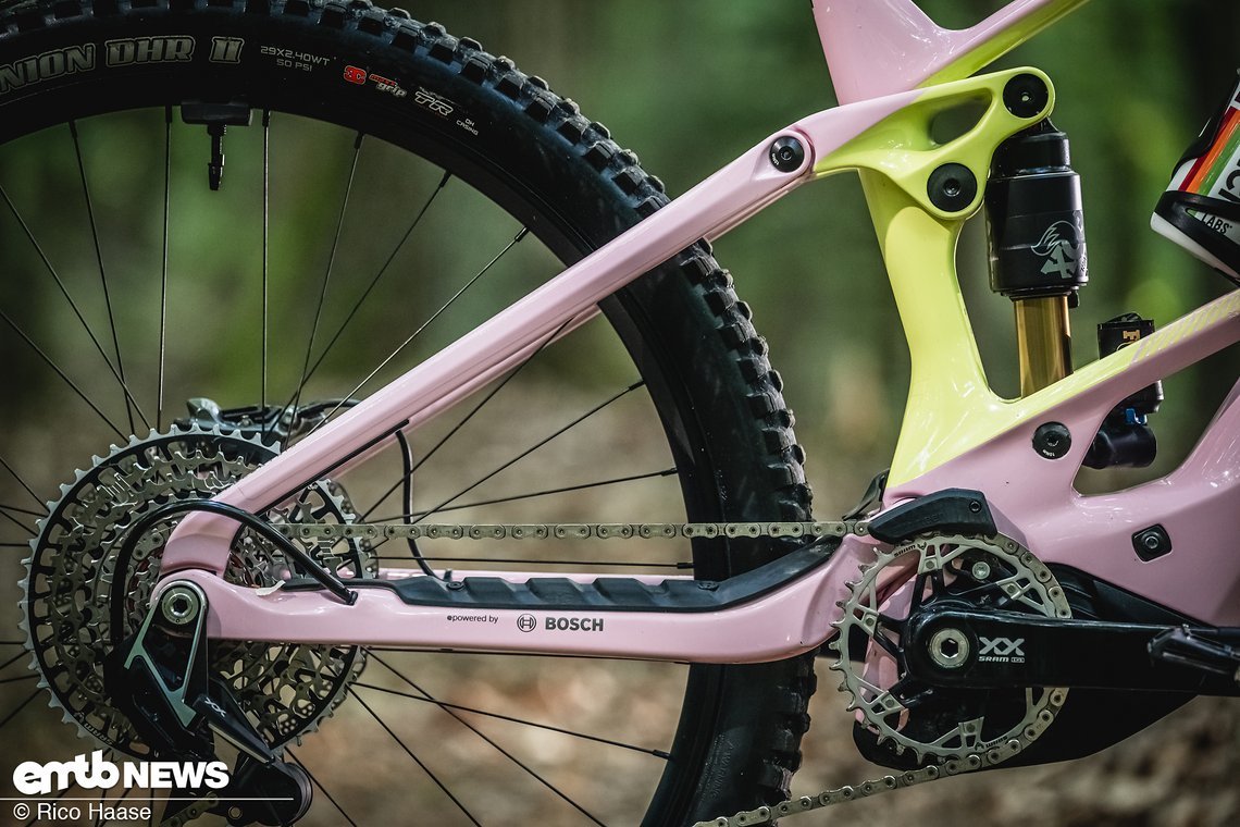Orbea Wild Fast Forward Team 2025 Bikecheck DSC 2930