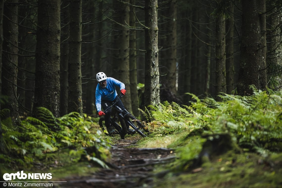 Wurzelteppische bügelt das potente Fahrwerk einfach weg.