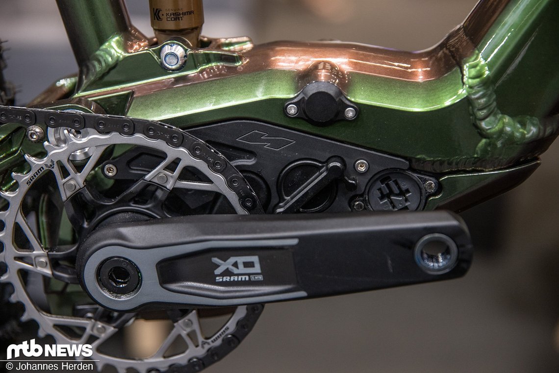 Hier versteckt er sich ...