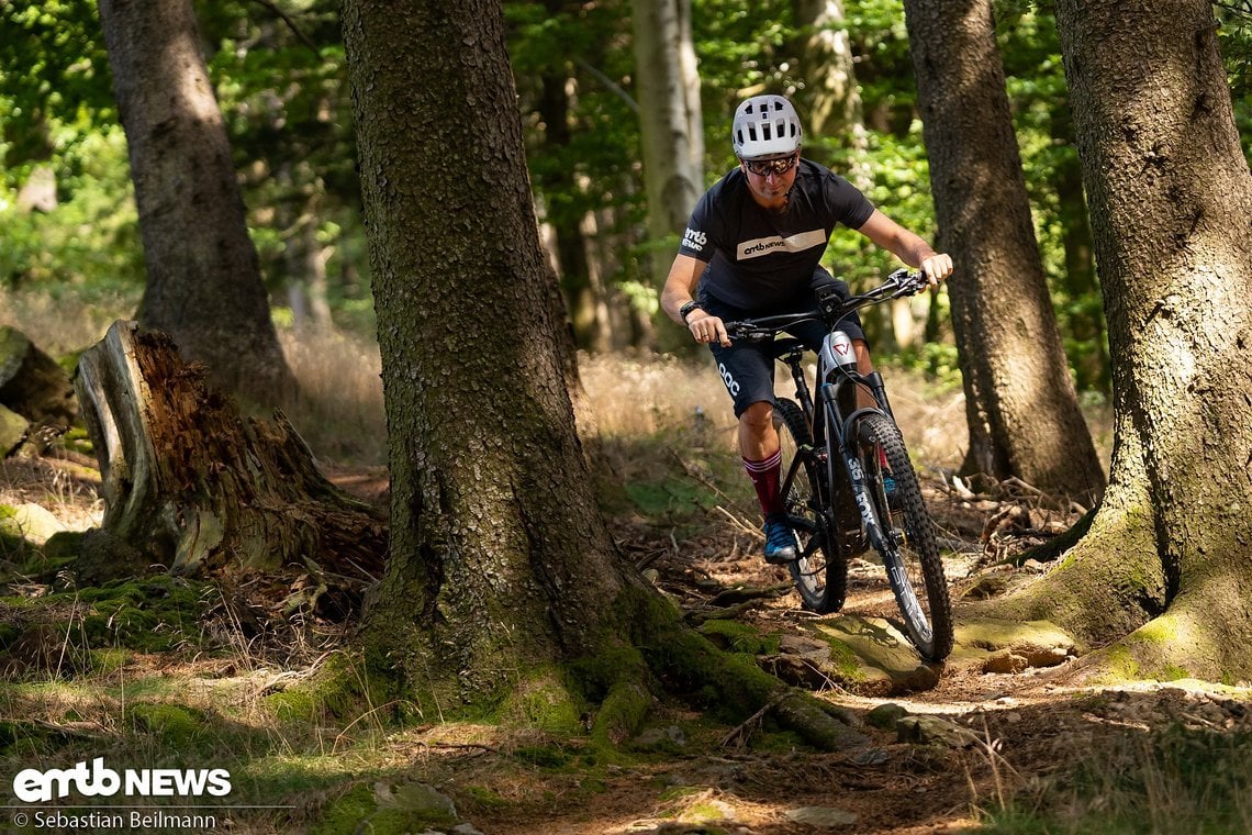 Flow-Trails über Wurzeln, in denen sich das 160-mm-Fox-Fahrwerk austoben darf und der Fahrer richtig Spaß hat.