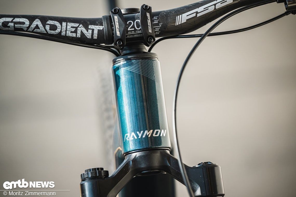 raymon-bosch-sx-99935