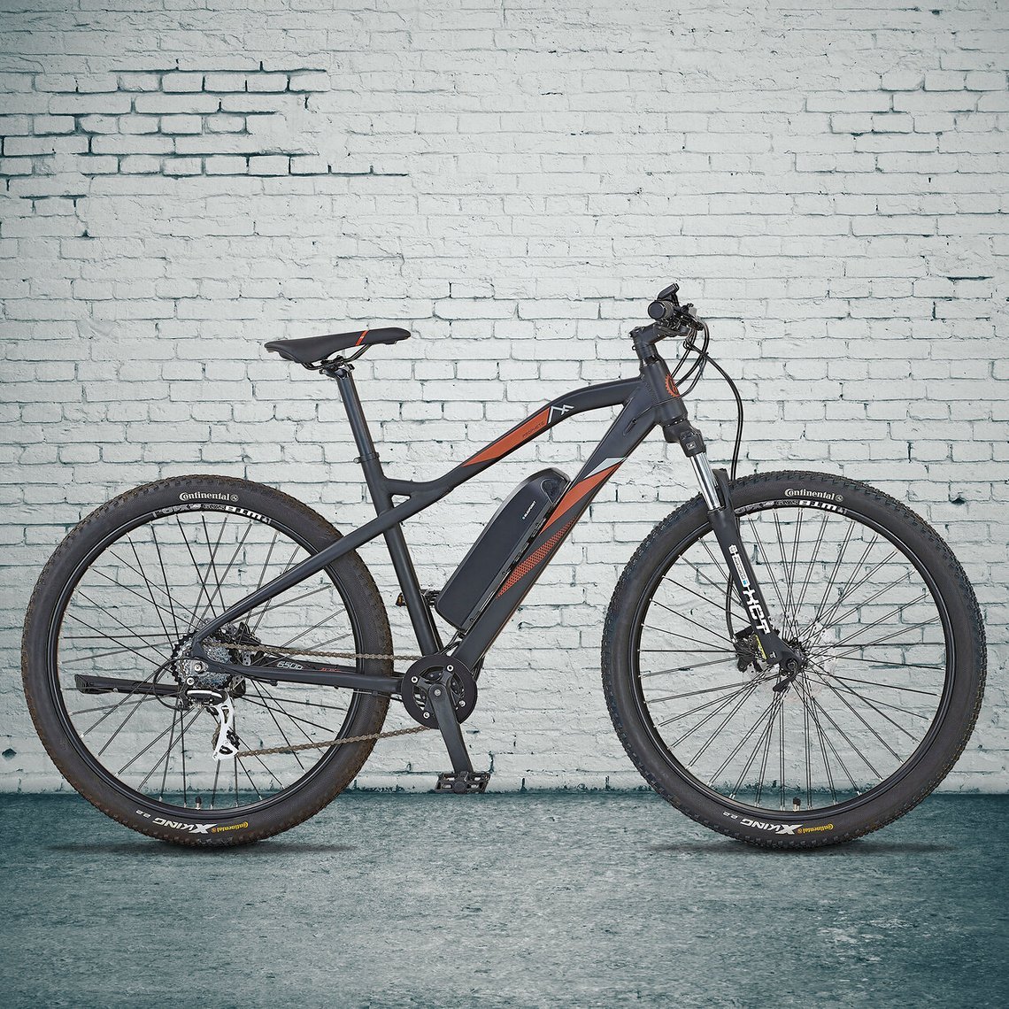 ALDI E-Bike - Prophete Graveler 29