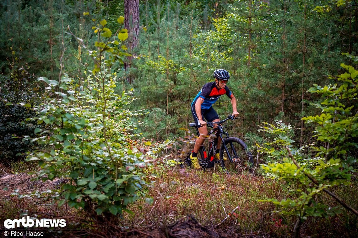 Das Haibike Xduro Hardnine 9.0 lässt sich quirlig und agil über den Trail fahren.