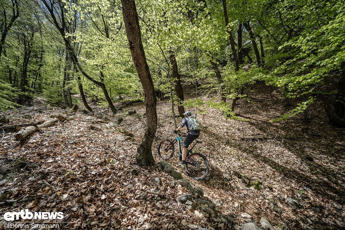 Die Trails waren teilweise mit sehr viel Laub bedeckt – Indiz dafür, dass bis dato kaum Biker hier waren